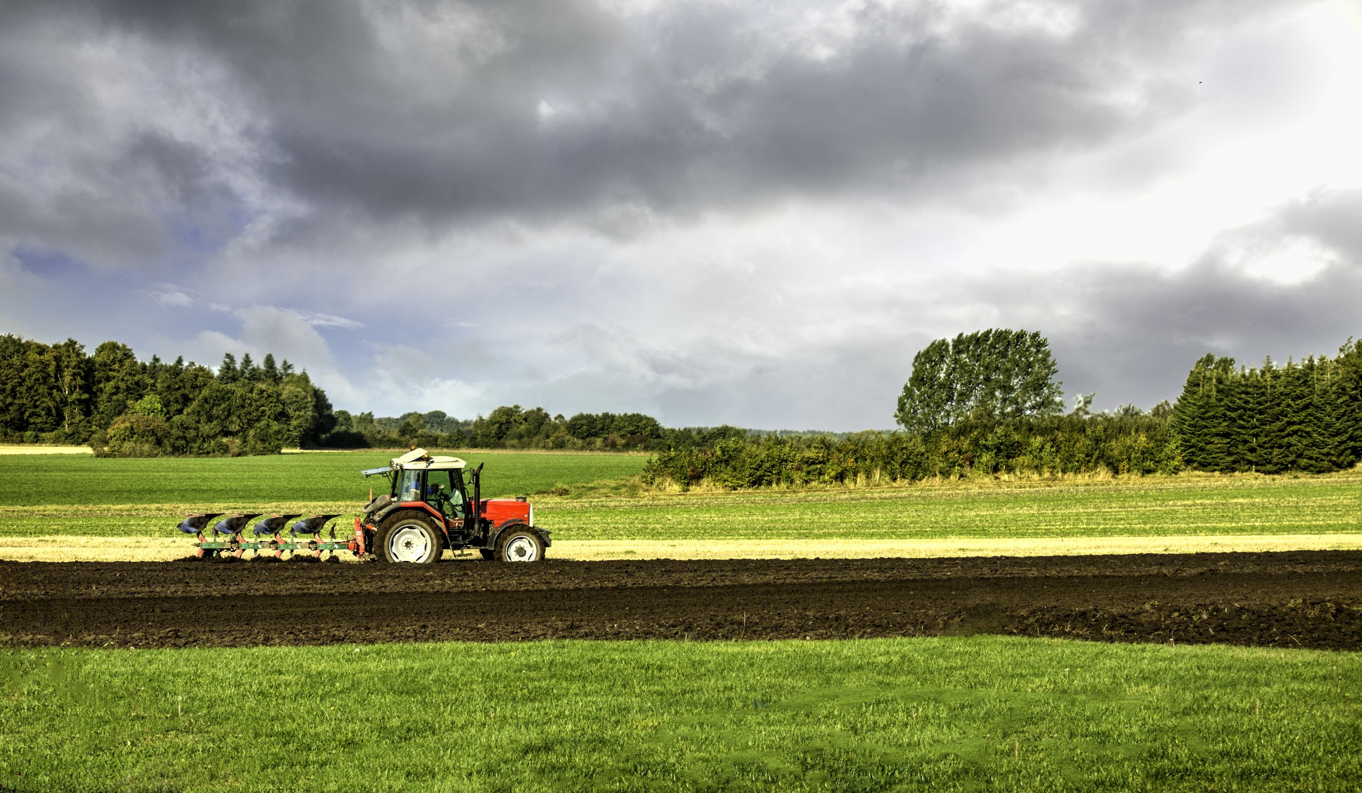 Government Reveals Food Enterprise Zones Plan News Speciality Food