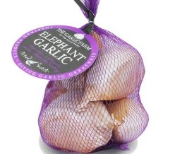 Jumbo Elephant Garlic - Netted Cloves