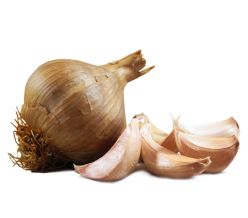 Smoked Garlic Large Bulbs