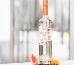 Salcombe Gin ‘Start Point’