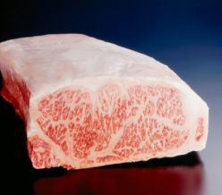 Japanese Wagyu