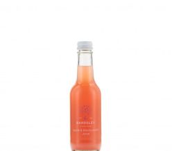 Apple & Blackcurrant Juice 250ml