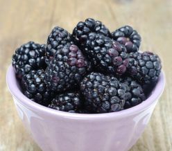 field fare Blackberries