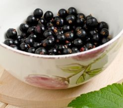 field fare Blackcurrants