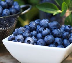 field fare Blueberries