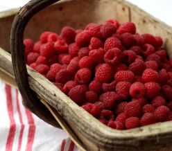 field fare Raspberries