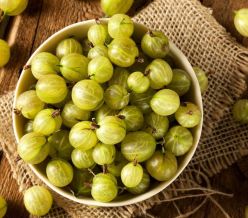 field fare Gooseberries