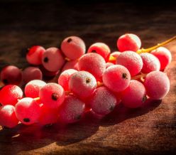 field fare Redcurrants